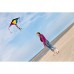 Tuulelohe Simple Flyer Vikerkaar 120 cm